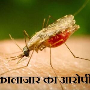 Premier Nation | खगड़िया जिले में कालाजार से बचाव हेतु जुलाई माह में किया...